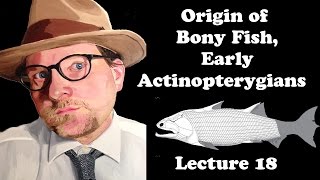 Lecture 18 Origin of Bony Fish Early Actinopterygians [upl. by Lledyl]