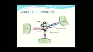 SJCTNCDLEEMA ROSE MARYEPBC14CMICROBIOLOGYampIMMUNOLOGYUNIT 4ANTIGENS AND ANTIBODIES [upl. by Fenner]