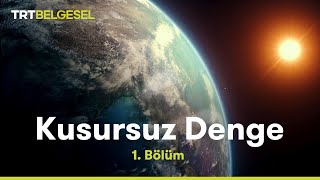 Kusursuz Denge  Dünya  TRT Belgesel [upl. by Langan]