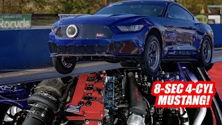 4Cylinder Mustang Runs 8s Ecoboost with Kelford Cams [upl. by Eben711]