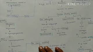 Adrenal cortex2Zona fasciculataGlucocorticoid hormone [upl. by Alexandre]