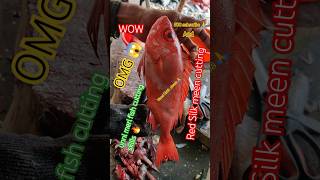 Unni meri fish 😲 Unni meri fish video 💥 Unni meri fish cutting🧑‍💻trending viralvideo seafood [upl. by Bernete]