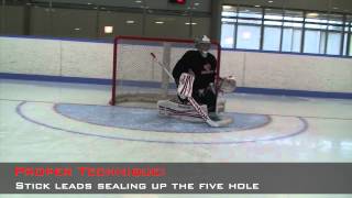 Breakaway Video Goaltending [upl. by Liv]