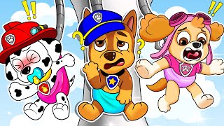 PAW Patrol The Mighty Movie  Brewing Cute Baby Factory  Very Funny Life Story  Rainbow Friends 3 [upl. by Joana]