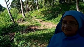 Srilanka Rosarian 200 Nuns were feed during Covid [upl. by Vey]