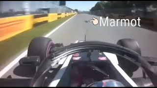 Crash of Romain Grosjean with a marmot before the last turn in FP2 [upl. by Elyac998]