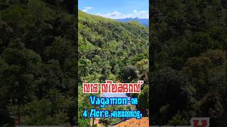 4 Acre Cardamom Plantation for Sale  Vagamon vagamon vagamonhills resort realestate kochi [upl. by Luiza]