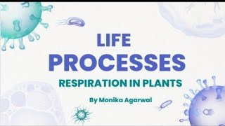 Life Processes  Respiration in Plants  Class 10  Part III  Monika Agarwal [upl. by Ahsenhoj672]