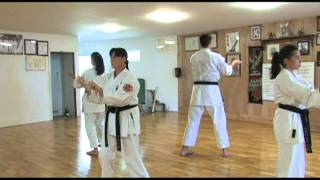 Neves Karate Academy [upl. by Saltsman328]