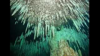 Cenote Dreamgate  Cave diving  Mexico [upl. by Augustine]