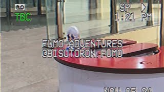 Fumofumo adventures VHS EDIT [upl. by Nester762]