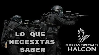 Grupo HALCÓN TODO lo que NECESITAS SABER [upl. by Salina266]