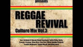 FreeRootsSound  ReggaeRevival  CultureMixVol3 2012 [upl. by Oirevlis397]