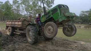 Indonesian White Giant Goat Farmer Video [upl. by Lauretta]