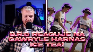 BRO reaguje na GAWRYLE  HARNAŚ ICE TEA [upl. by Ertnom]