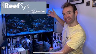 Aqua One ReefSys 326 Tank Tour [upl. by Annocahs]