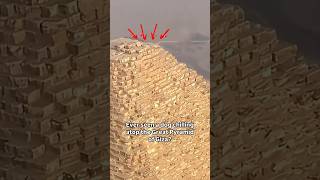 🐕 Dog Spotted on Top of Great Pyramid 😬 [upl. by Eiraminot]