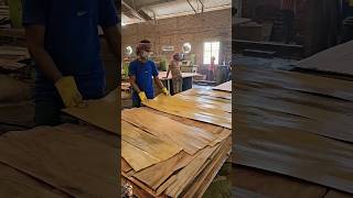 Plywood Manufacturing Company plywood manufacturing process [upl. by Lucius861]