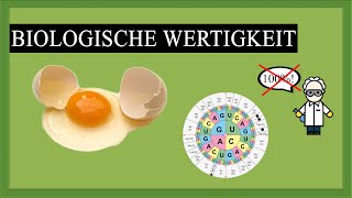 Biologische Wertigkeit  Warum die Proteinmenge nicht ausschlaggebend ist [upl. by Attelrahs]