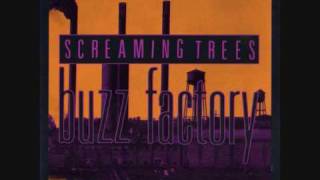 Screaming Trees  Revelation Revolution [upl. by Aniroc195]