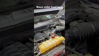 Braun Under Hood Work Light From Harbor Freight Tools [upl. by Ihcelek]