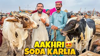 Bakra eid 2023 ka akhri soda karlia Alhamdulillah 🐂 kitne janwar lye [upl. by Augustina]