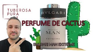 Reseña  El perfume de cactus 😱 Bvlgari Man Extreme [upl. by Heyde]