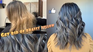 Toning Down Brassy Yellow Hair  Matrix Color sync [upl. by Airdna652]