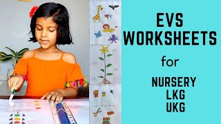 Daily Practice EVS Worksheets for Toddler Nursery LKG UKG Kindergarten Preschool  6 [upl. by Rondi176]