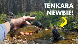 Tips for Tenkara Beginners—and Fishing an UNREAL Creek Tenkara Fly Fishing [upl. by Saxen]