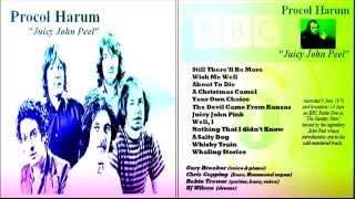 Procol Harum Live BBC 1970 Juicy John Peel [upl. by Kappenne]