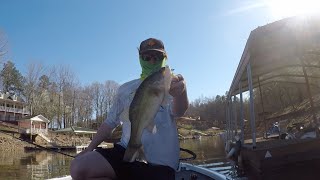 Spring Fishing at Lake Wedowee [upl. by Schrick]