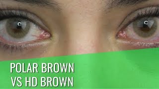 TTDEYE POLAR LIGHTS BROWN vs HD BROWNESS COLOR CONTACT COMPARISION [upl. by Perlis423]