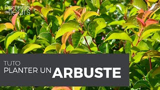 Tuto  comment planter un arbuste [upl. by Atekal]