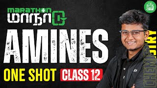 ONE SHOT  Amines  Class 12 Chemistry  Xylem CBSE 11amp12 Tamil [upl. by Boothe934]