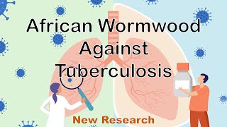 African Wormwood Against Tuberculosis  Treatment  New research [upl. by Barnebas901]