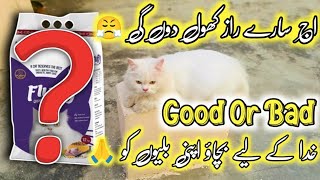 Fluffy Cat Food Review amp Why it is Bad for Cats  Best cat food for cat amp kittens in 2024 [upl. by Ainattirb]