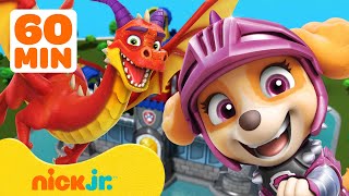 PAW Patrol  Aventuras de dragones y rescates 🐉 1 hora  Nick Jr [upl. by Shaughn]