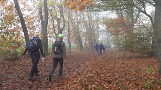 Op wandel met de Tongerse Wandelvrienden in OudTurnhout en Turnhout [upl. by Audris281]