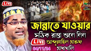 Live 🔴 In Dr Abdullahil Maruf  Hafiz Maulana Shanur Salim  Madakhali 041124 WB [upl. by Adiaz]