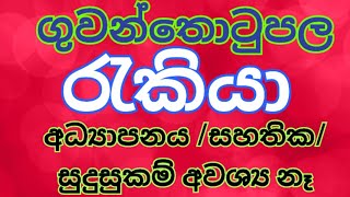 2025 job vacancy 2024 sri lanka  රැකියා ඇබෑර්තු 2024  job vacancy rakiya abarthu ගුවන් තොටුපොල [upl. by Edithe]