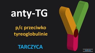 Przeciwciała przeciwko tyreoglobulinie – antyTG – TgAb [upl. by Neyu]