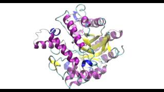 Protein 3D structure Endo Beta mannananse A TIM Barrel [upl. by Weisbart10]