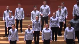 Young Peoples Chorus of New York City Tres Cantos Nativos dos Indios Kraó EJCF Basel 2014 [upl. by Gerald807]