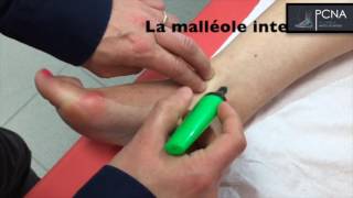 TUTORIEL ANATOMIE CHEVILLE [upl. by Eves]