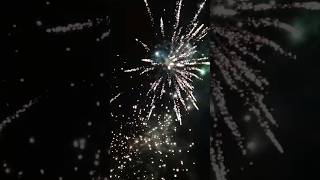 Lidl The New Beastmaster fireworks feuerwerk silvester [upl. by Pavla]