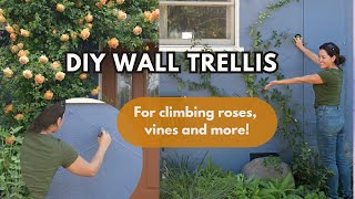 How I Built a Custom Wire Wall Trellis for My Climbing Rose For Vining Plants too [upl. by Doowyah]