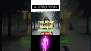 Teri Khari Mangdi Shorts New Video Slow amp Reverb lofi music [upl. by Arded]