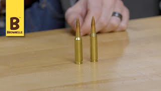 Quick Tip 65 Creedmoor vs 260 Remington [upl. by Enneyehs]