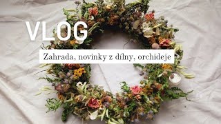 Honzík Lací  Vlog Orchideje zahrada dílna [upl. by Enaitsirk338]